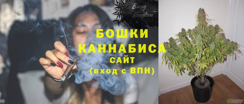 Марихуана OG Kush  Куртамыш 